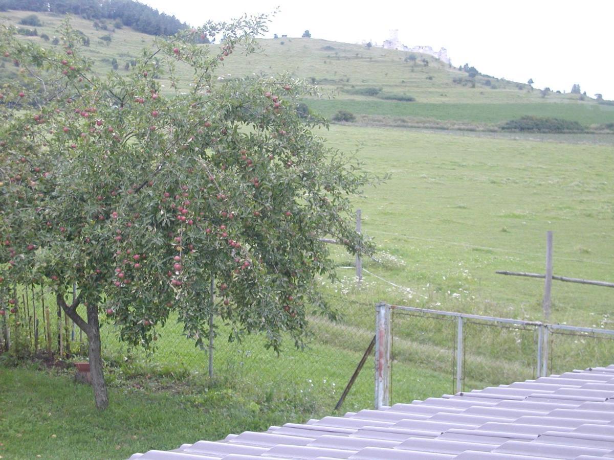 Penzion Drevenik Otel Spišské Podhradie Dış mekan fotoğraf